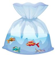 Cute fishes in plastic bag cartoon isolated vector