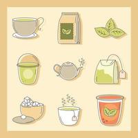 Set of different kinds of tea vector