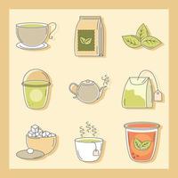 conjunto de diferentes tipos de té vector