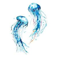 Hand drawn blue jellyfish watercolor vector