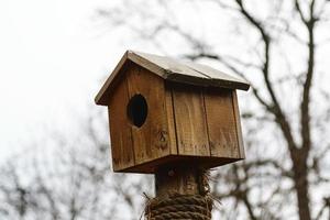 Wooden bird nest photo