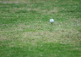 Golf ball on tee photo