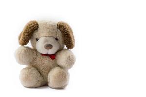 Cute teddy bear photo