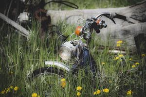 motocicleta en un campo de flores foto