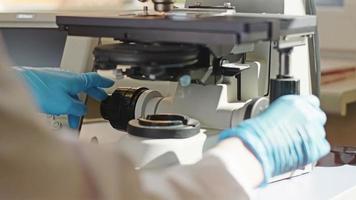 trabalhador de laboratório ajustando um microscópio