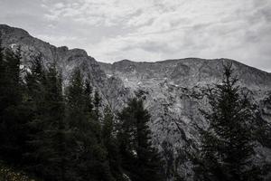 Rocky mountains and trees under cloudy sky photo