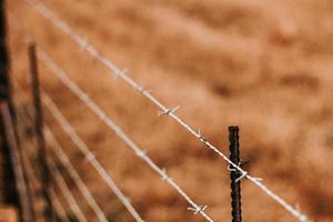 Close-up of a barbed-wire fence. photo