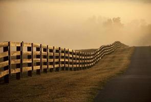 Farm Fence at sunrise with fog photo