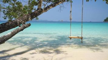 swing hang on big tree over beach sea video