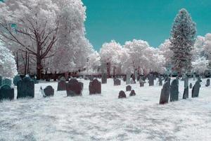 Infrared cemetery
