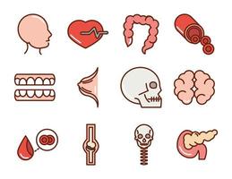 conjunto de iconos de anatomía y salud del cuerpo humano vector