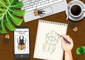 Top view office work table with beetle drawing vector