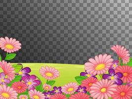 Pink flower field on transparent background vector