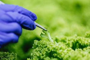 Using tweezers to get a plant sample photo