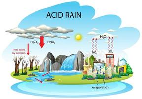 Diagram showing acid rain pathway on white background vector