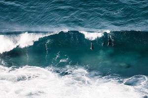 Dolphins in a wave photo