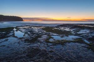 Moss on shore at sunset photo