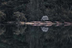 Green mountain near still water photo