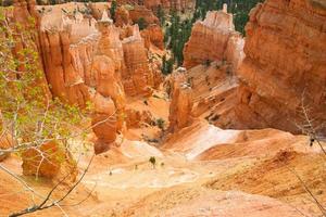 Looking down the canyon during the day photo