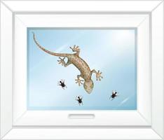 gecko en la ventana de vidrio vector