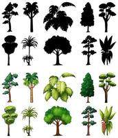 Set of trees with its silhouettes vector