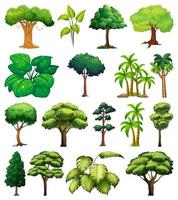 Set of variety of trees vector