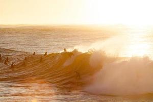 Silhouettes of people surfing at golden hour photo