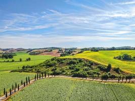 campos de hierba y un cielo azul foto