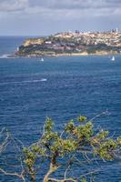 Town near the ocean photo