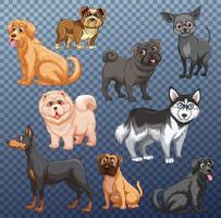 conjunto de diferentes perros. vector
