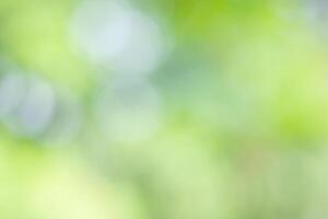 Natural green bokeh background photo