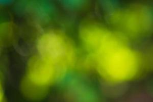 Natural bokeh background photo