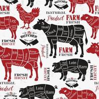 Diagrams for butcher shop background vector