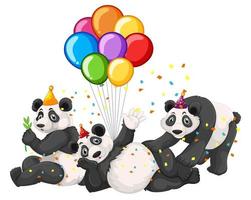 Panda grupo en tema de fiesta aislado sobre fondo blanco. vector