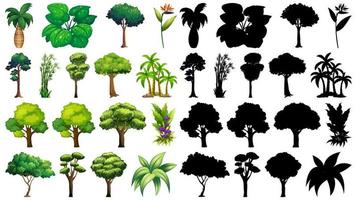 Set of isolated tree vector