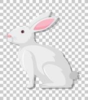White rabbit cartoon isolated on transparent background vector