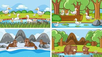 Background scenes of animals in the wild vector