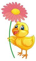 Little duckling holding flower on white background vector