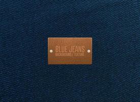 Blue jeans texture vector