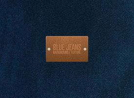 Blue jeans texture vector