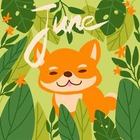 Cute shiba inu dog vector