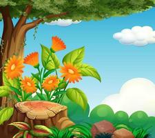 Background scene with nature theme vector