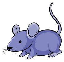 Purple mouse on white background vector