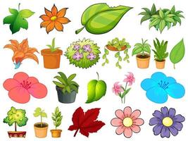 Large set of different plants on white background vector
