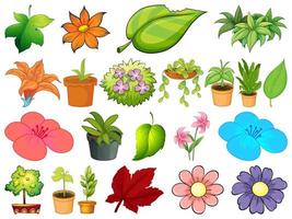 Gran conjunto de diferentes plantas sobre fondo blanco. vector