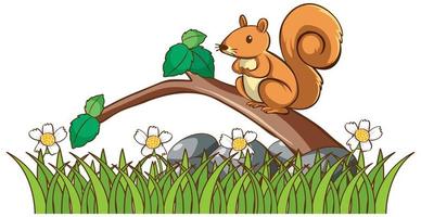 Isolated picture of squirrel in garden vector