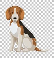 Beagle in sitting position cartoon character isolated on transparent background vector