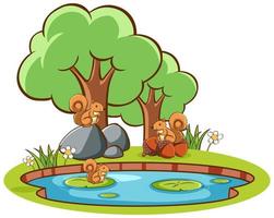 Isolated picture of squirrels by the pond vector