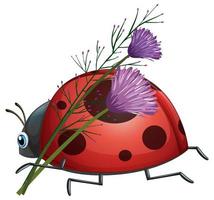 Ladybug with purple flower vector