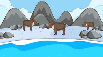 Scene with reindeers in winter vector